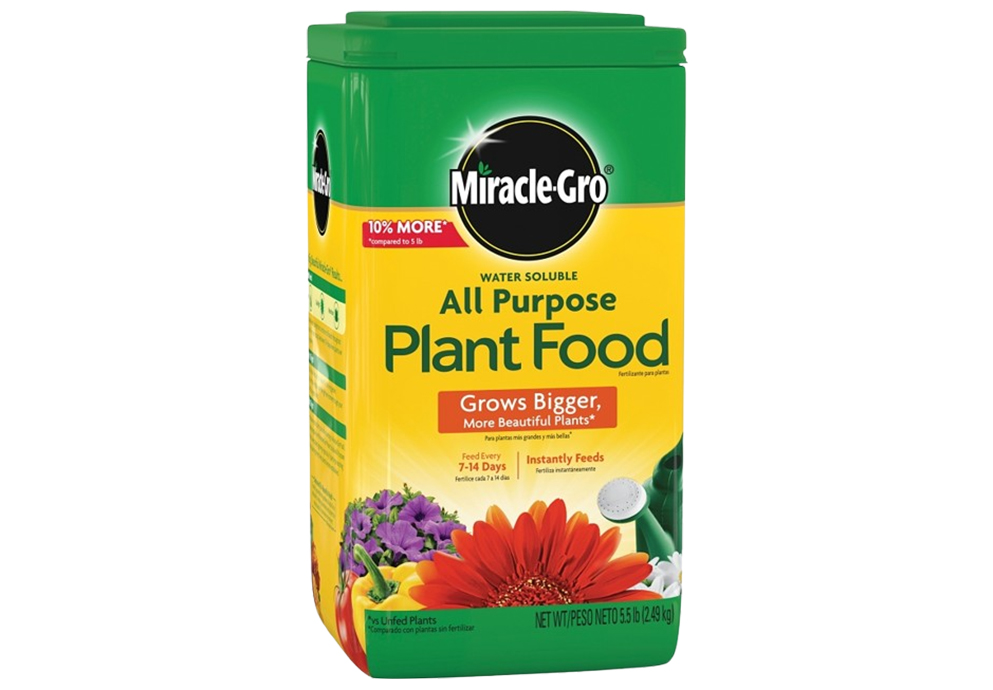 Plant Care